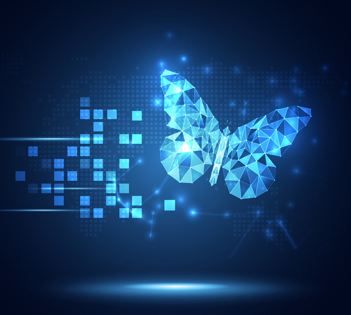 Image hover effect image